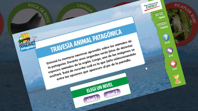 Ecojuegos (Cliente PAE)